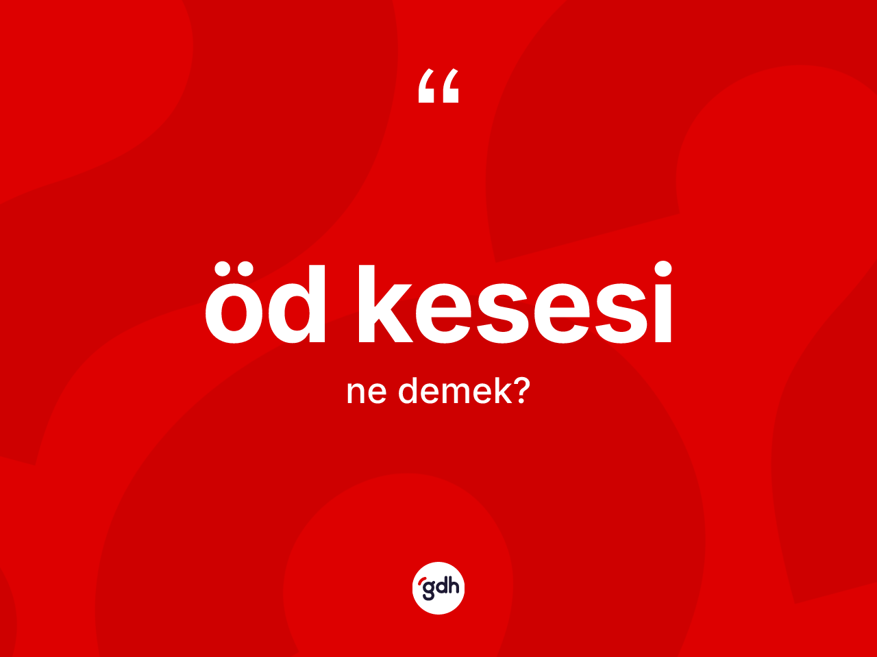 Öd kesesi ne demek? Öd kesesi kelimesinin özellikleri nelerdir?