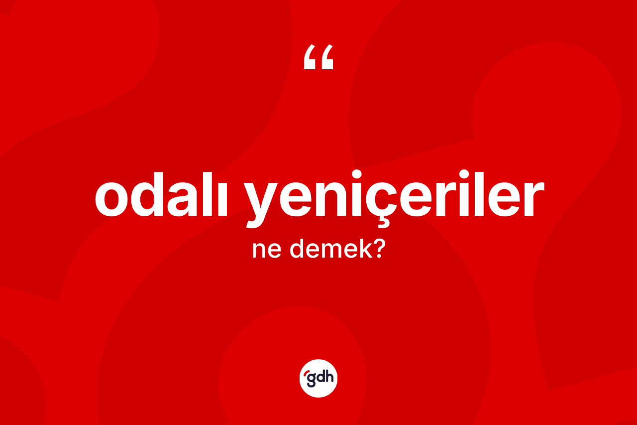 Odalı yeniçeriler  kelimesinin sözlükteki tanımı nedir?