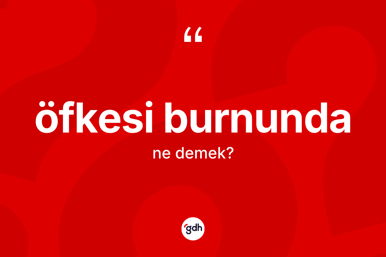 Öfkesi burnunda kelimesi nedir?