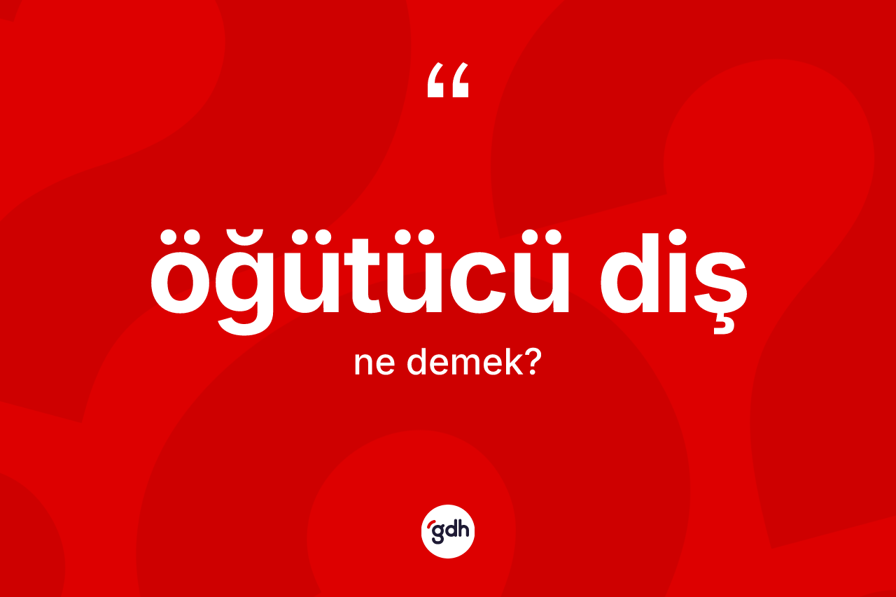 Öğütücü diş kelimesi nedir?