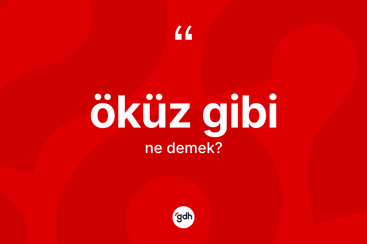 Öküz gibi ifadesi neyi anlatır?