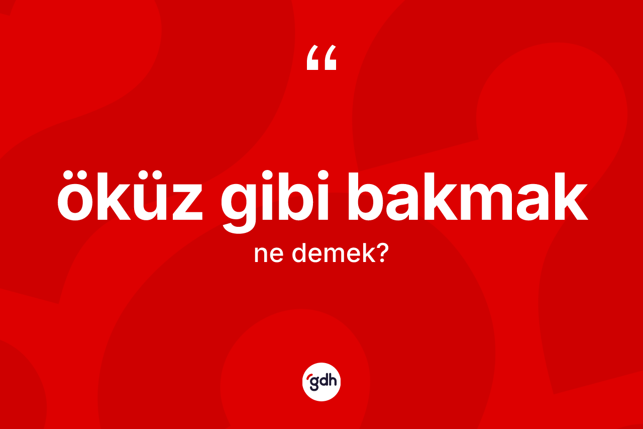 Öküz gibi bakmak ifadesinin kısaca anlamı nedir?