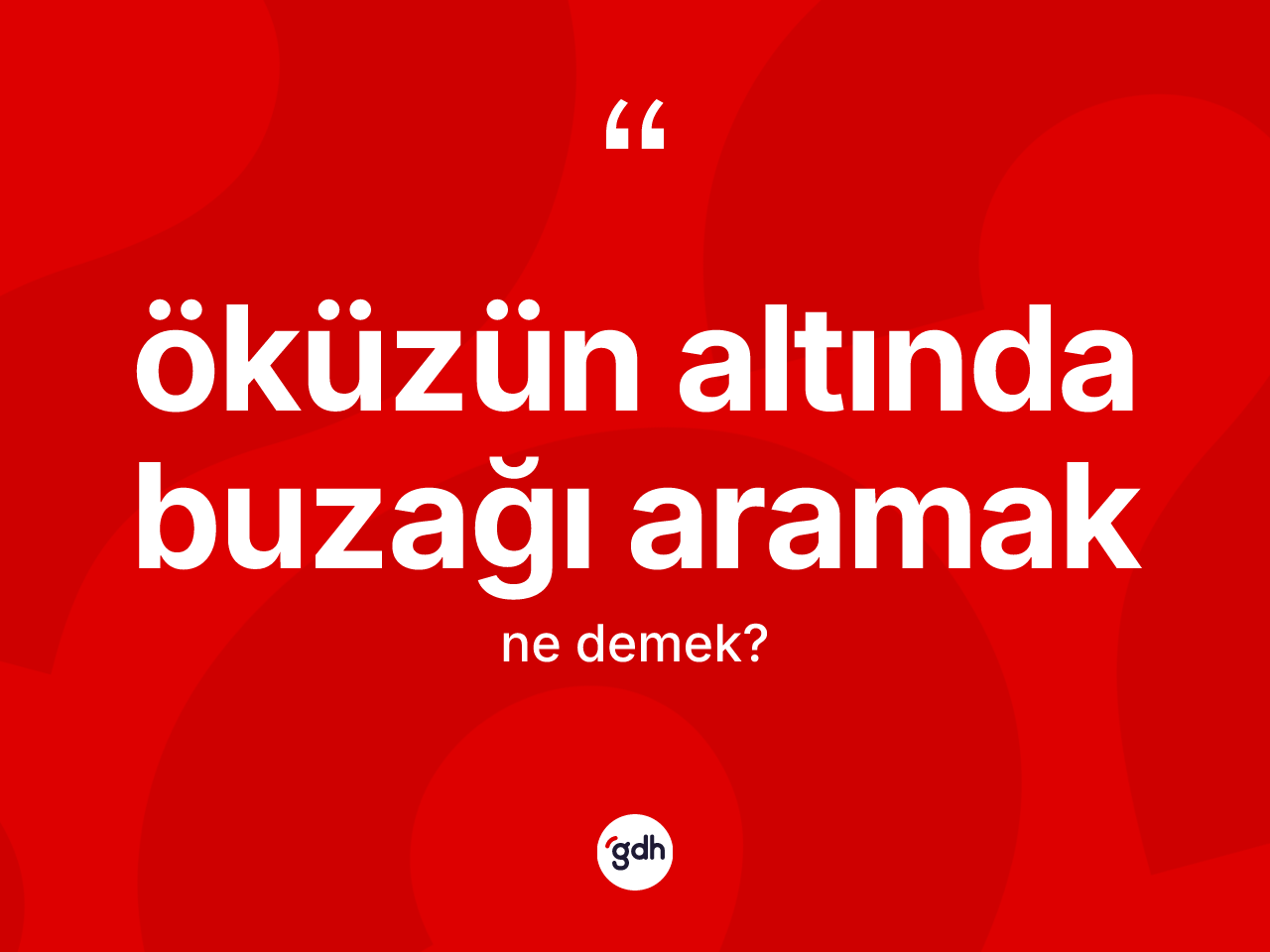 Öküzün altında buzağı aramak ne anlama gelir? Öküzün altında buzağı aramak ifadesi nerede kullanılır?