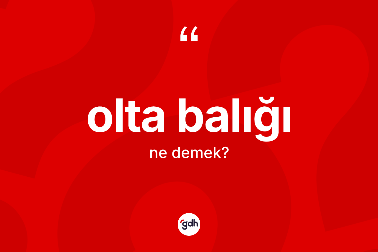 Olta balığı nedir?