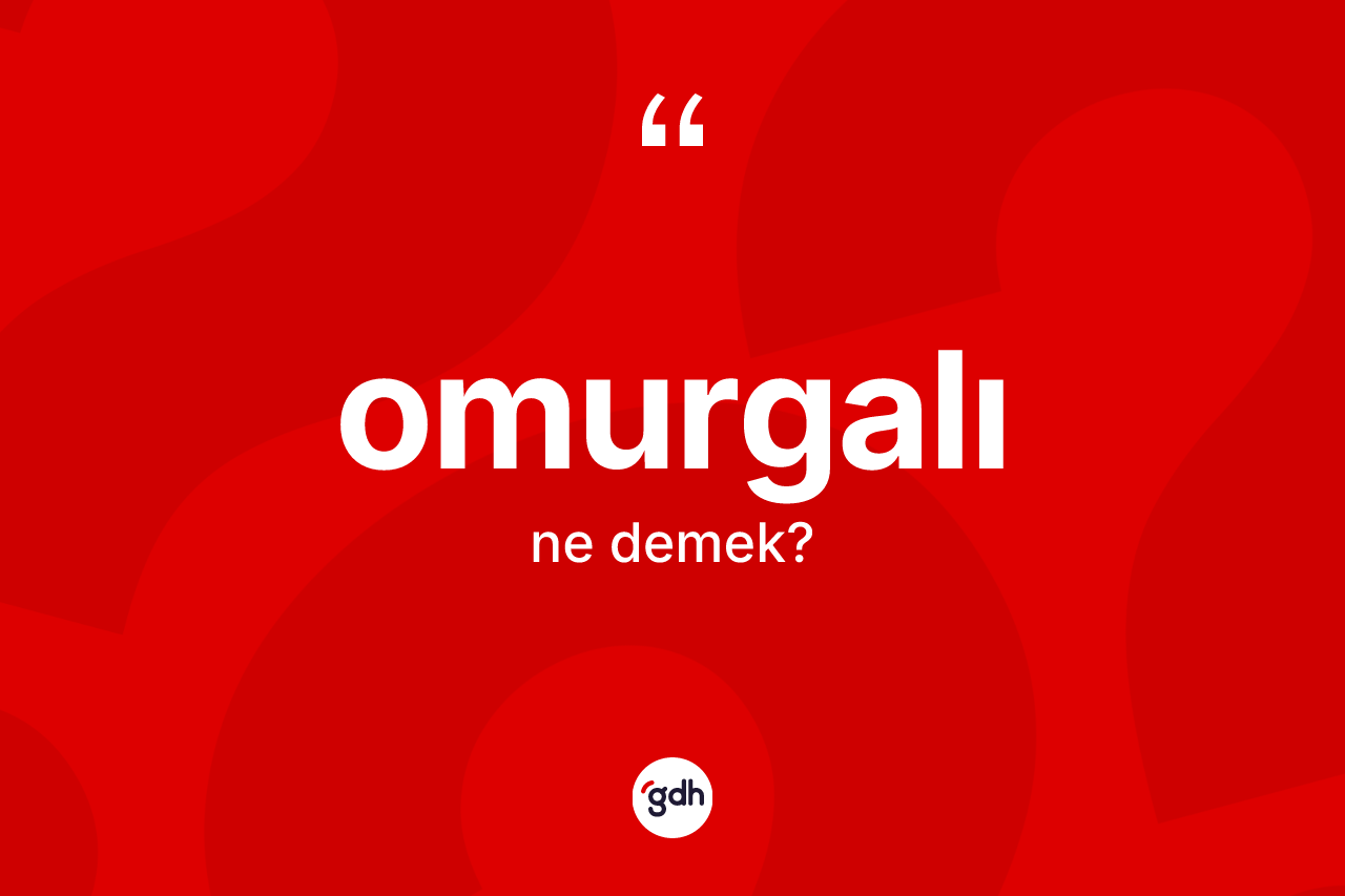 Omurgalı nedir? Omurgalı kelimesinin TDK'ya göre açıklaması nedir?