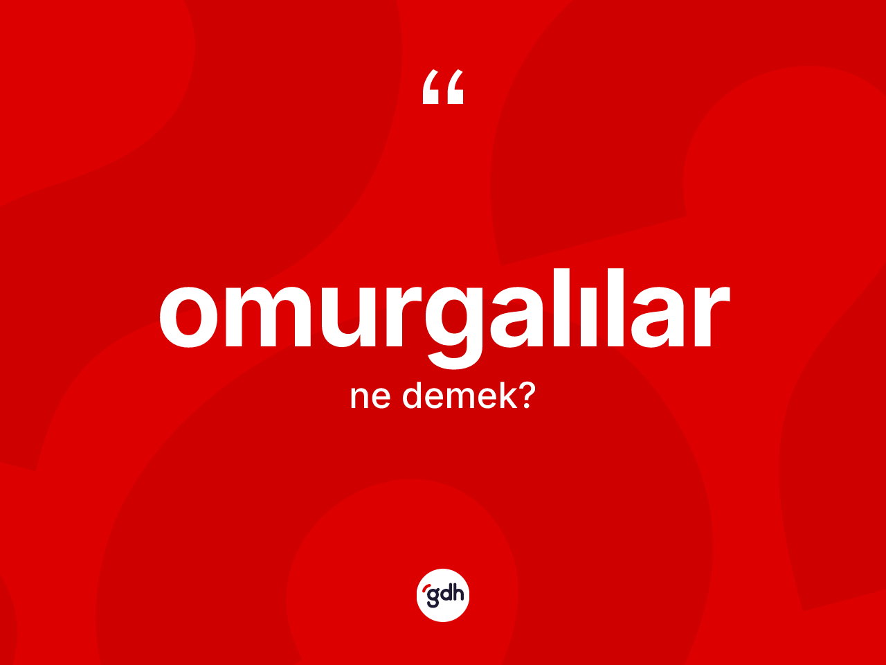 Omurgalılar kelimesinin sözlükteki tanımı nedir? Omurgalıların TDK'ya göre anlamı nedir?