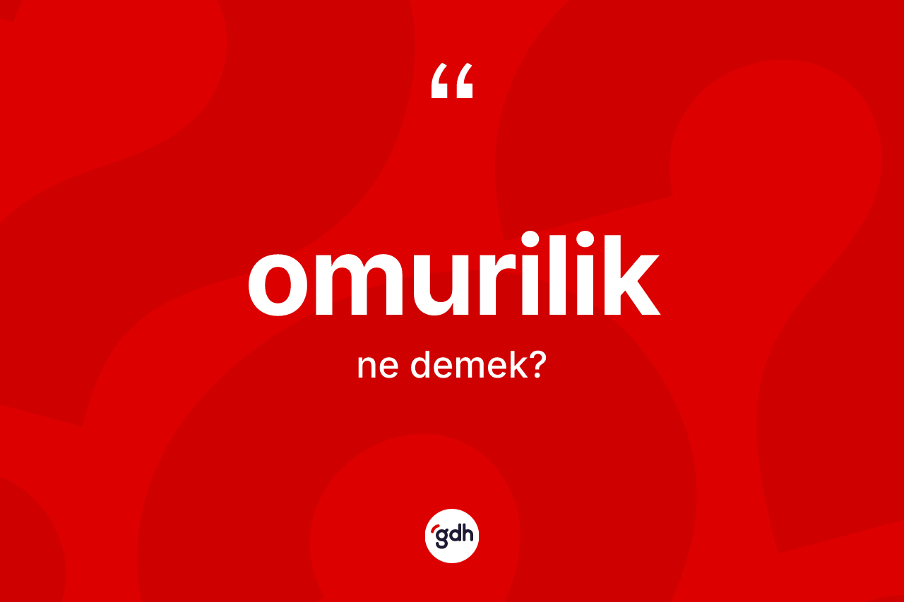 Omurilik nedir?