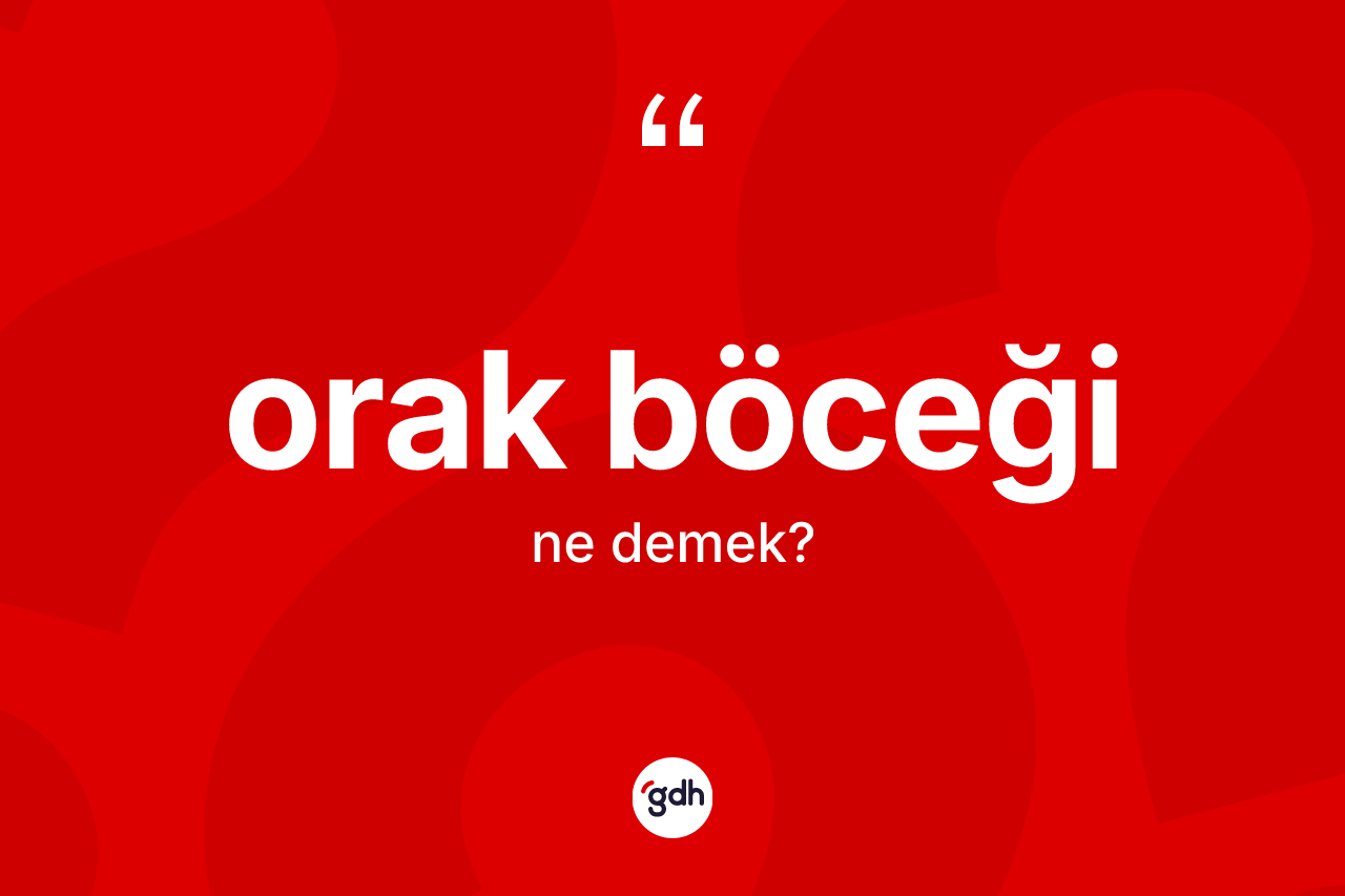Orak böceği nedir? Orak böceği kelimesinin TDK'ya göre açıklaması nedir?
