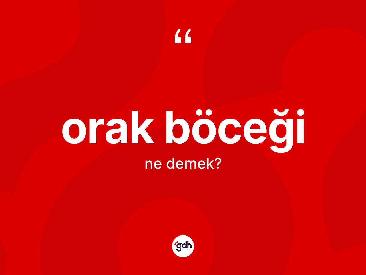Orak böceği nedir? Orak böceği kelimesinin TDK'ya göre açıklaması nedir?