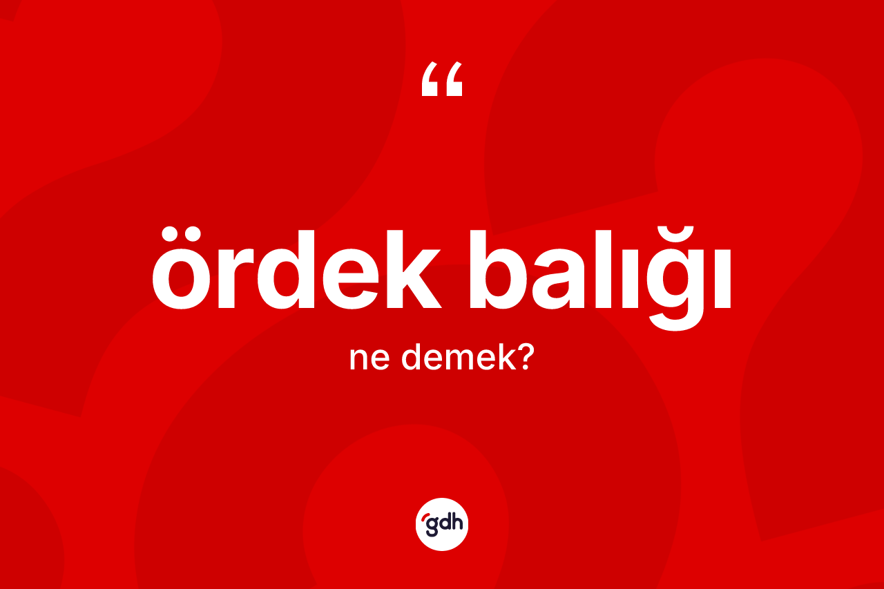 Ördek balığı nedir? Ördek balığının TDK'ya göre anlamı nedir?