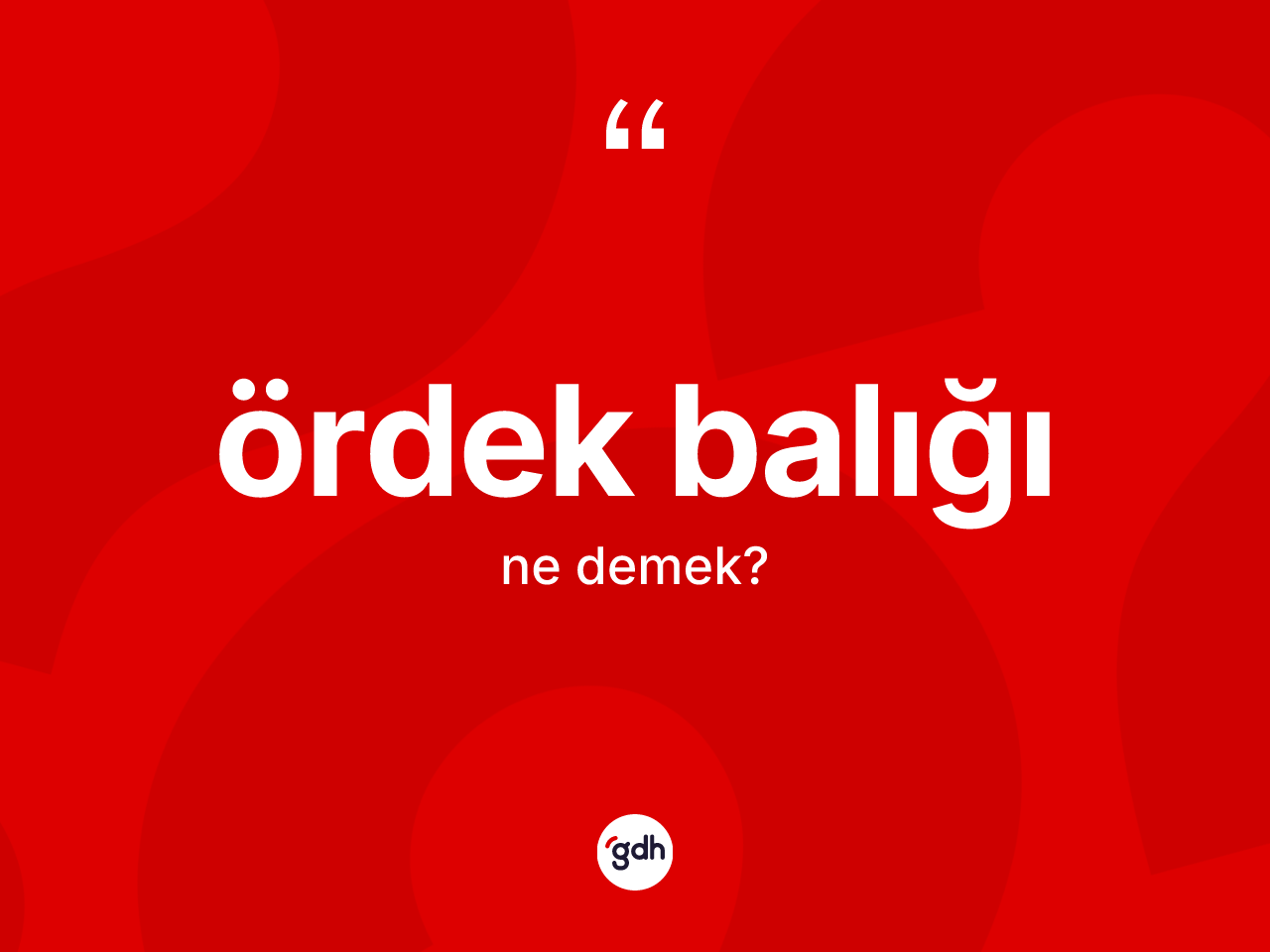 Ördek balığı nedir? Ördek balığının TDK'ya göre anlamı nedir?