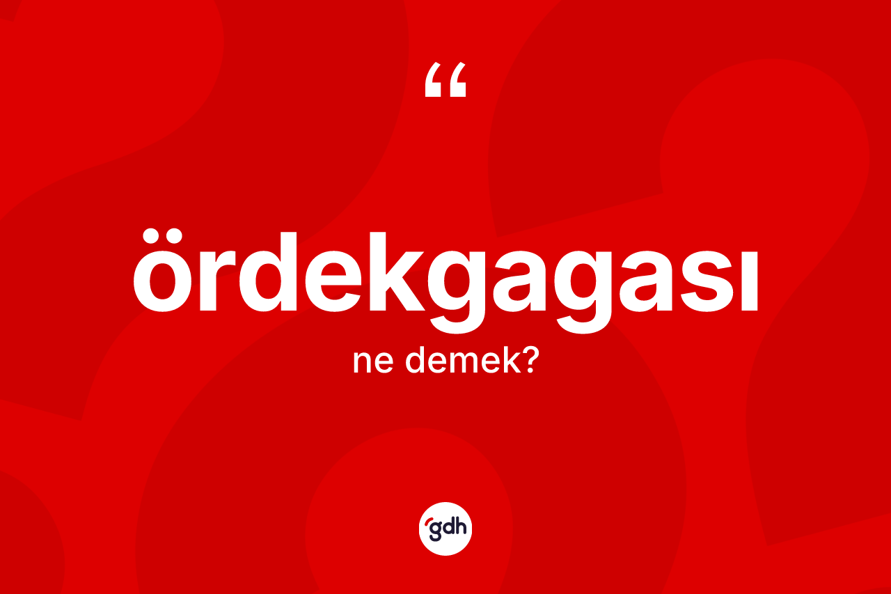 Ördekgagası kelimesi ne anlama gelir? Ördekgagasının TDK'ya göre anlamı nedir?