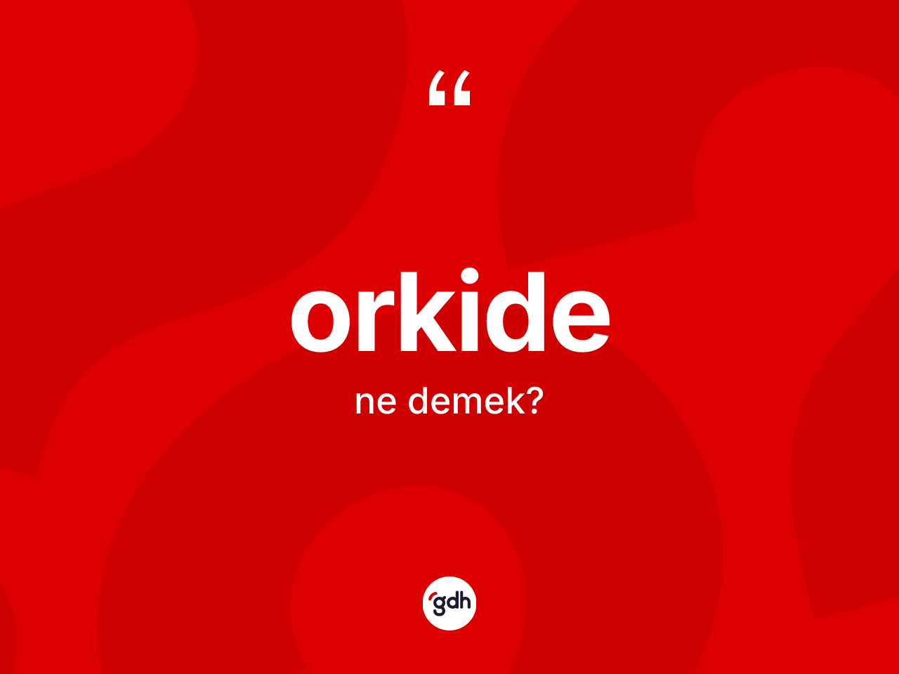 Orkide kelimesi ne demek? Orkidenin TDK'ya göre anlamı nedir?