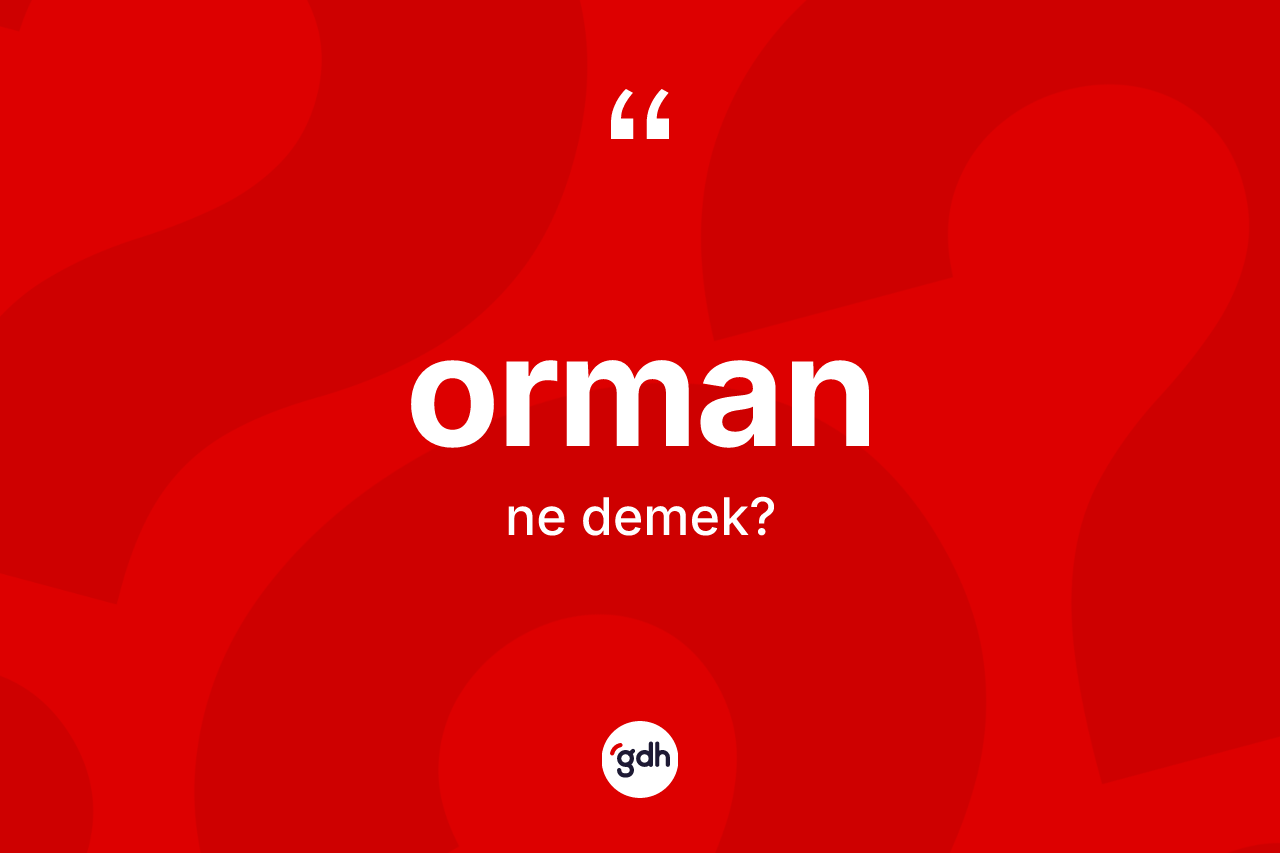Orman kelimesinin tanımı nedir? Ormanın TDK'ya göre anlamı nedir?