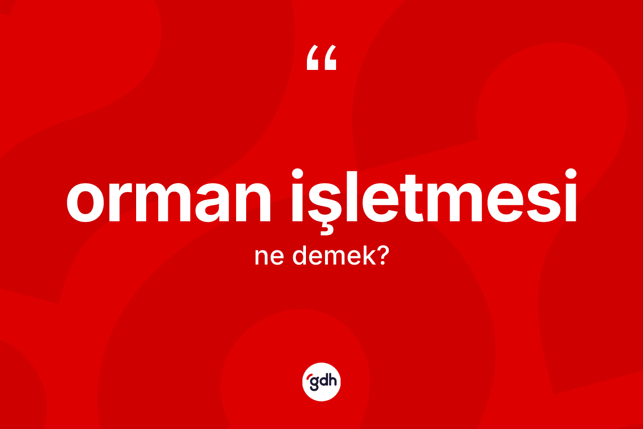 Orman işletmesi kelimesinin anlamı nedir? Orman işletmesinin halk arasındaki kullanımı nasıldır?