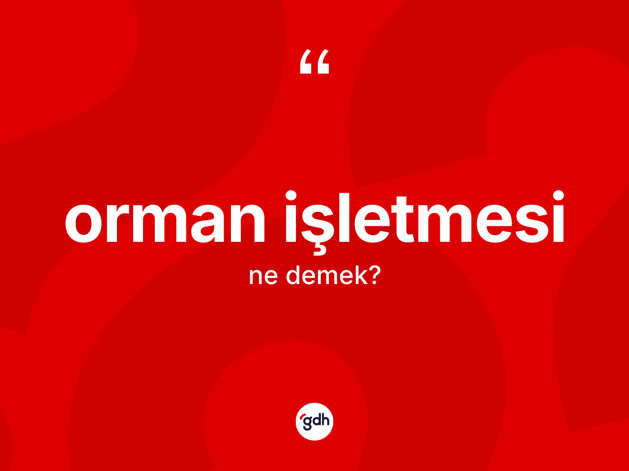 Orman işletmesi kelimesinin anlamı nedir? Orman işletmesinin halk arasındaki kullanımı nasıldır?