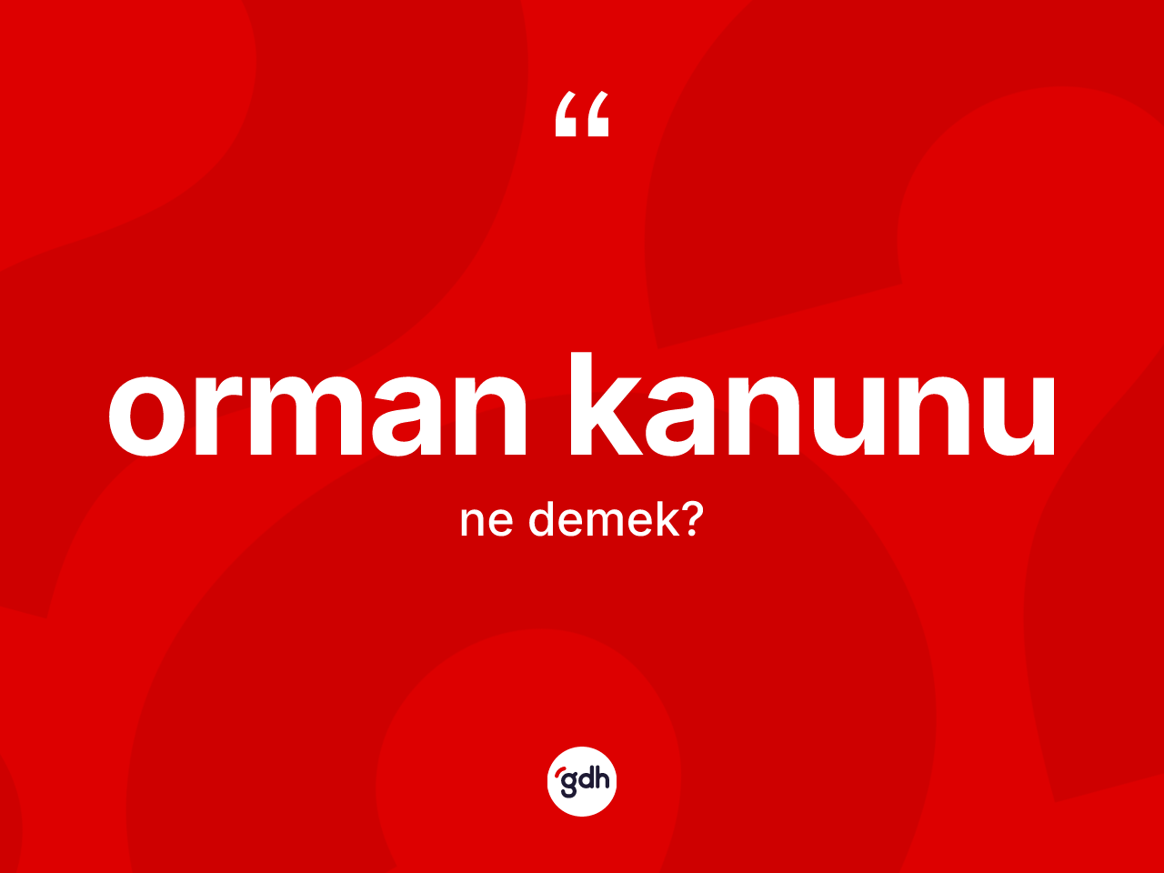 Orman kanunu kelimesi ne demek? Orman kanunu kelimesinin TDK'ya göre açıklaması nedir?