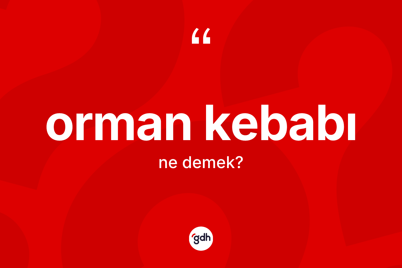 Orman kebabı kelimesinin sözlükteki tanımı nedir?