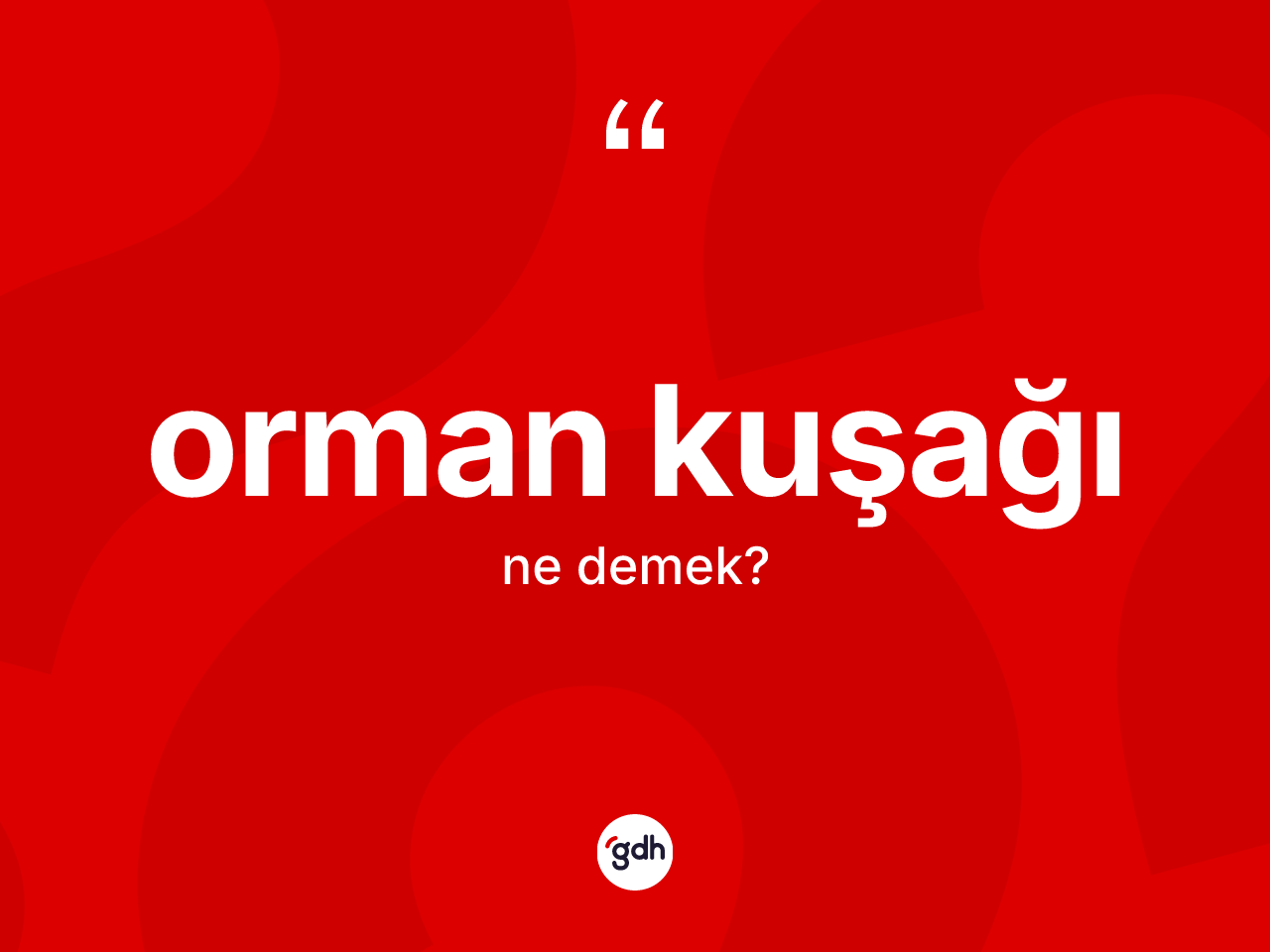 Orman kuşağı kelimesi nedir? Orman kuşağının TDK'ya göre anlamı nedir?
