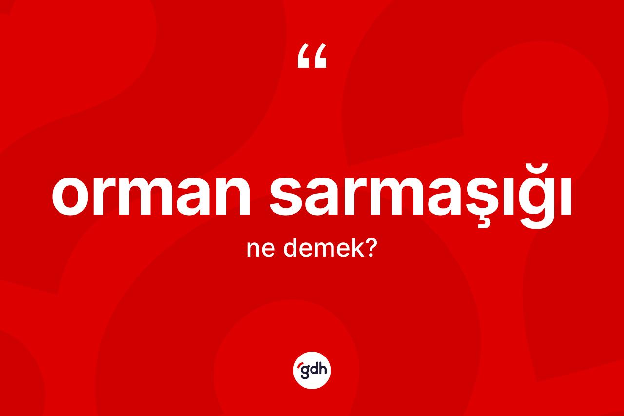 Orman sarmaşığı ne demek?