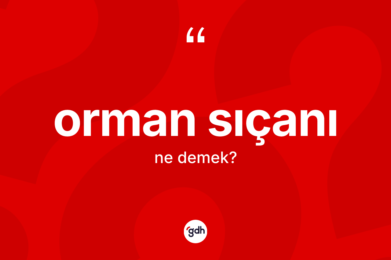 Orman sıçanı kelimesinin sözlükteki tanımı nedir? Orman sıçanının sözlükteki anlamı nedir?