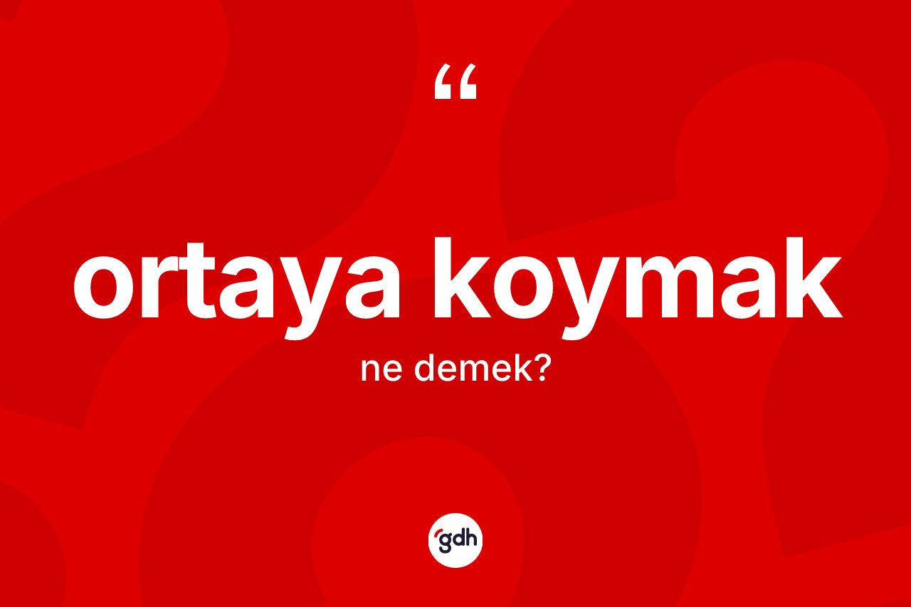 Ortaya koymak ne demek?