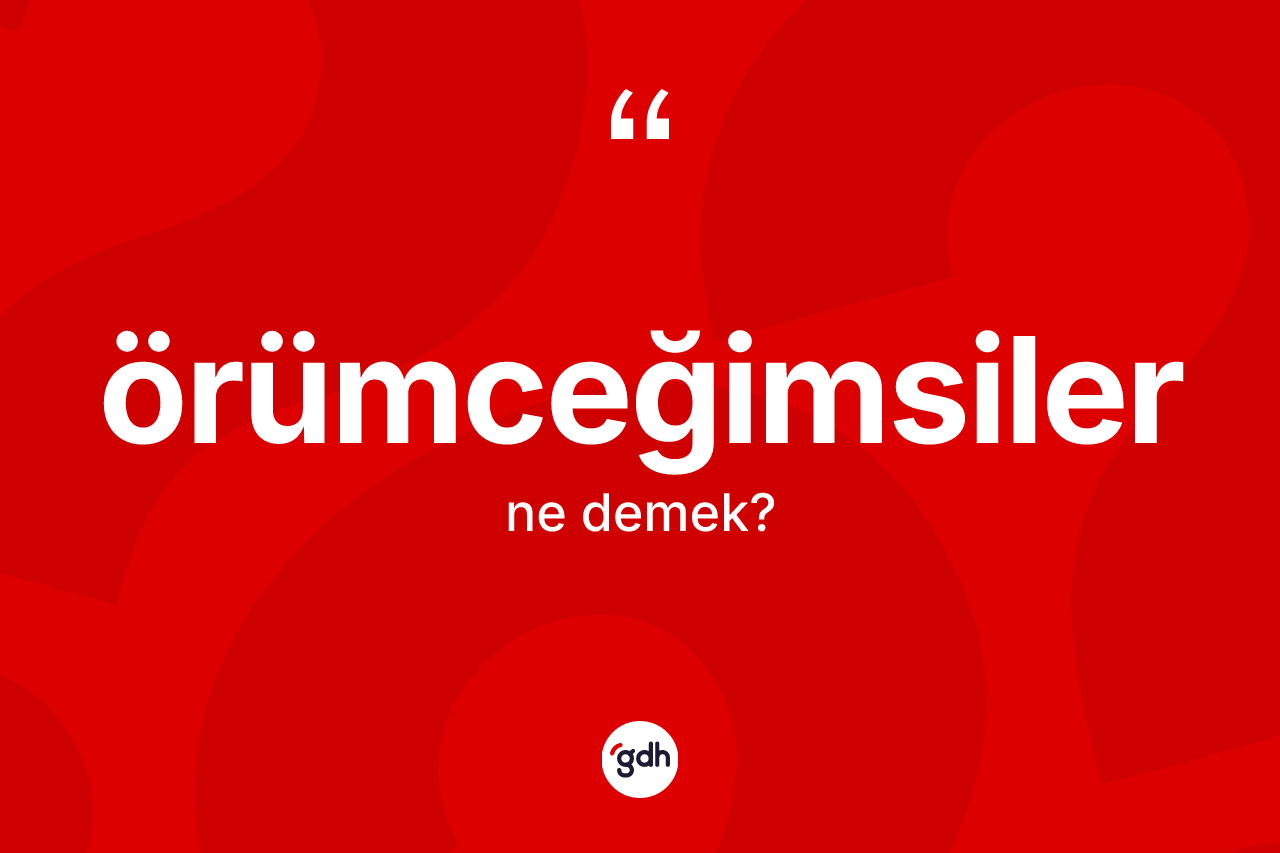 Örümceğimsiler kelimesinin anlamı nedir?