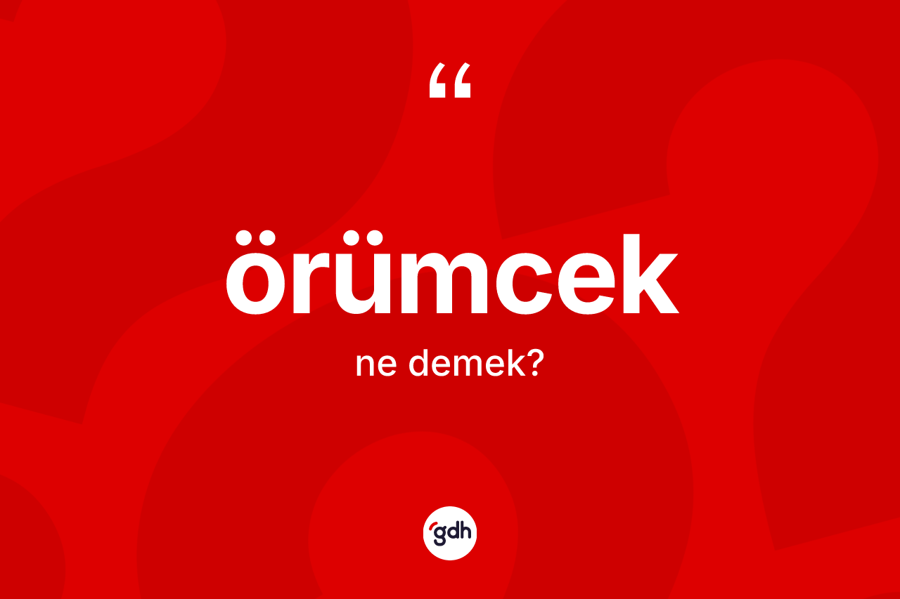 Örümcek kelimesi ne demek?