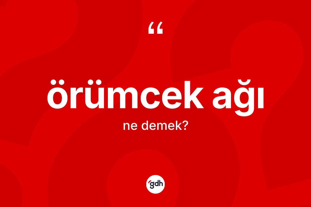 Örümcek ağı  kelimesinin sözlükteki tanımı nedir?