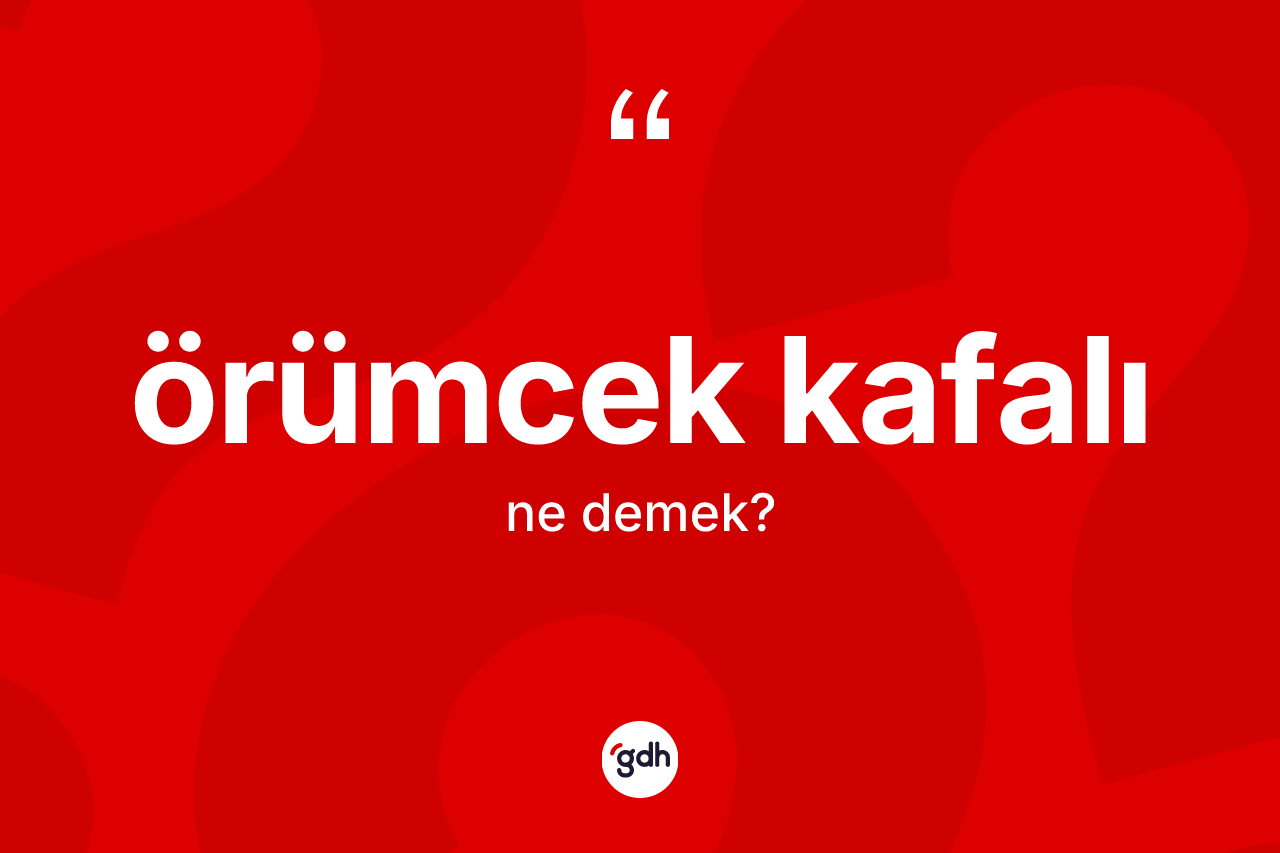 Örümcek kafalı ne anlama gelir?