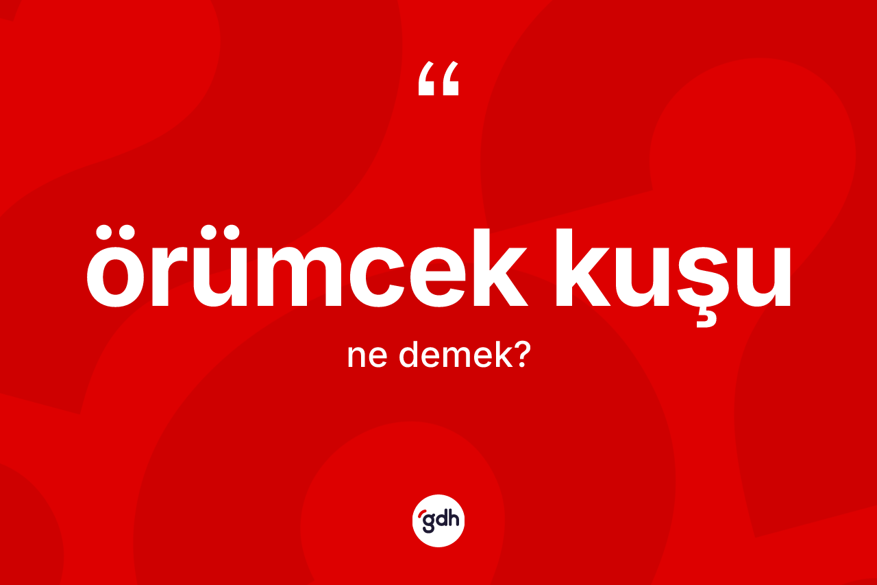 Örümcek kuşu kelimesi ne anlama gelir?