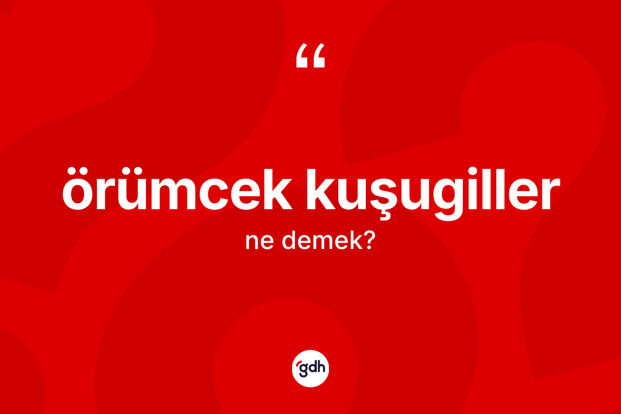 Örümcek kuşugiller ne demek? Örümcek kuşugillerin TDK'ya göre anlamı nedir?