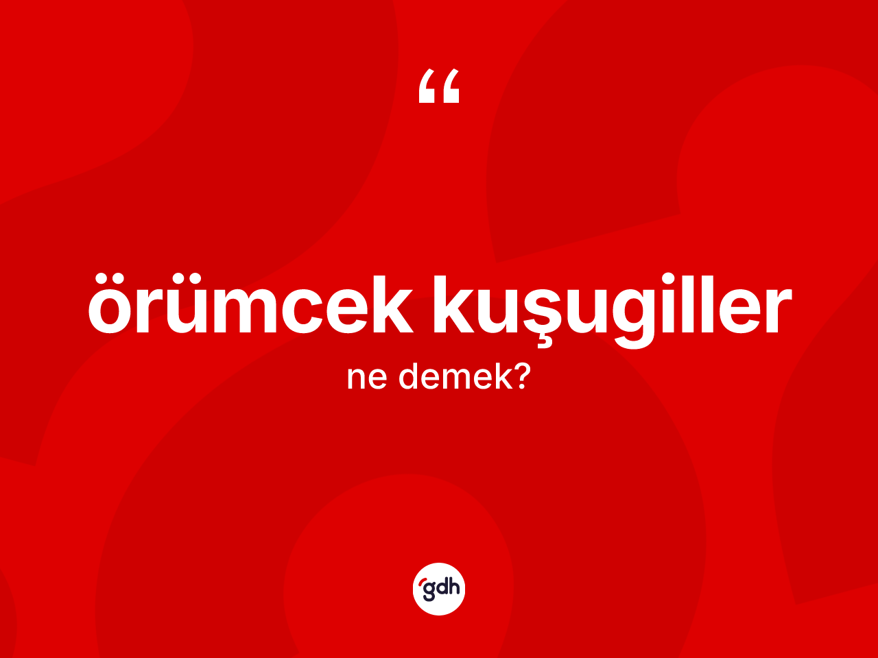 Örümcek kuşugiller ne demek? Örümcek kuşugillerin TDK'ya göre anlamı nedir?
