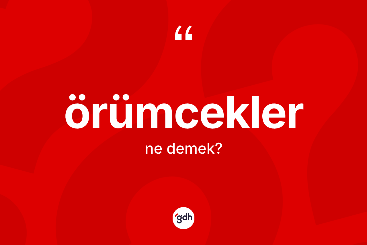 Örümcekler kelimesi ne anlama gelir?