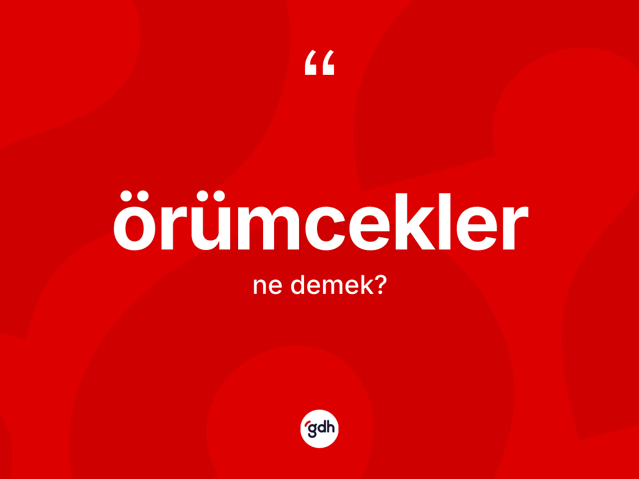 Örümcekler kelimesi ne anlama gelir? Örümceklerin TDK'ya göre anlamı nedir?