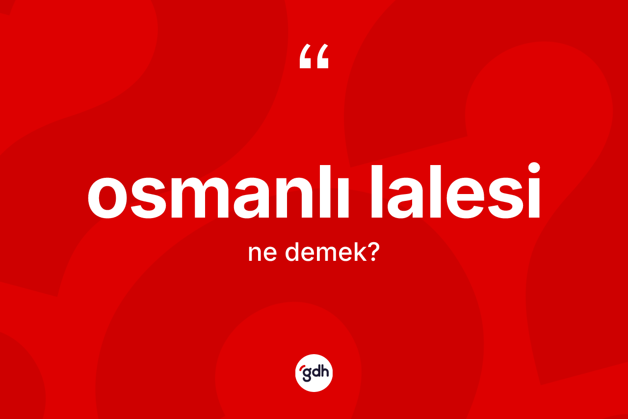 Osmanlı lalesi nedir? Osmanlı lalesinin kısaca tanımı nedir?