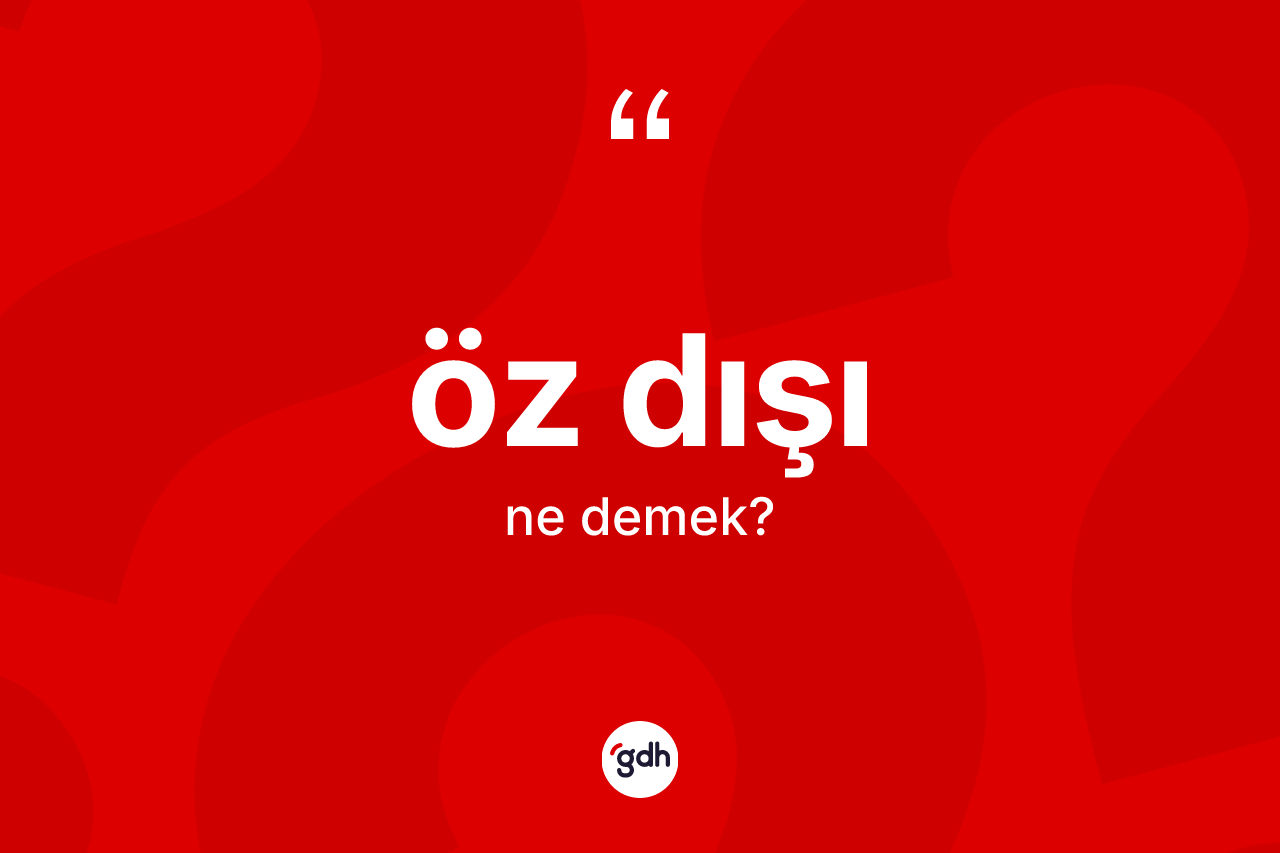 Öz dışı kelimesinin tanımı nedir?