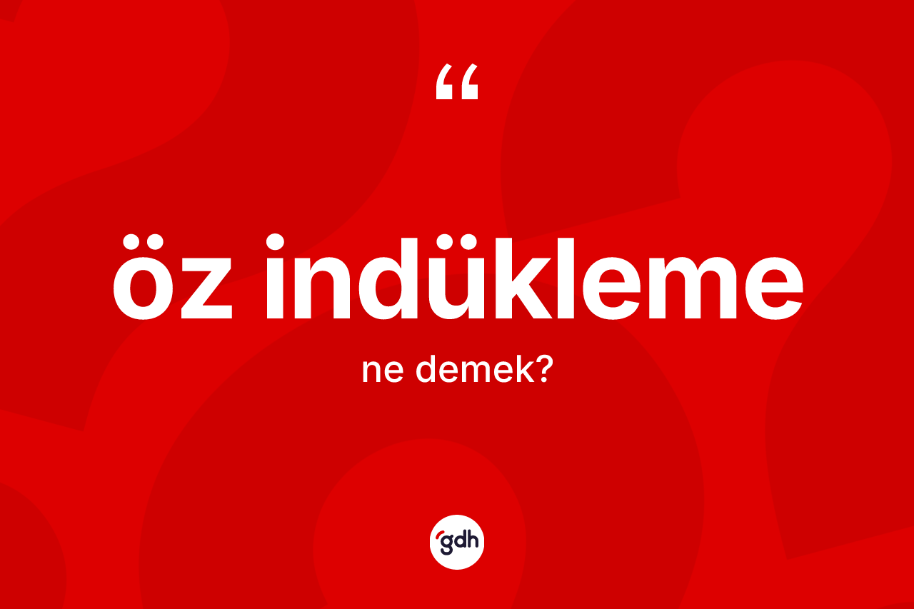 Öz indükleme kelimesi nedir?