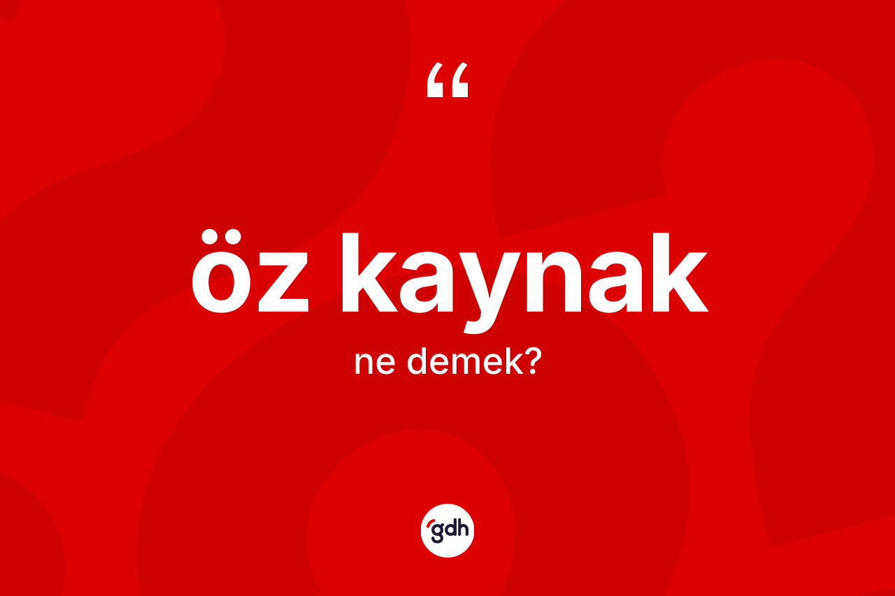 Öz kaynak kelimesi nedir? Öz kaynağın TDK'ya göre anlamı nedir?