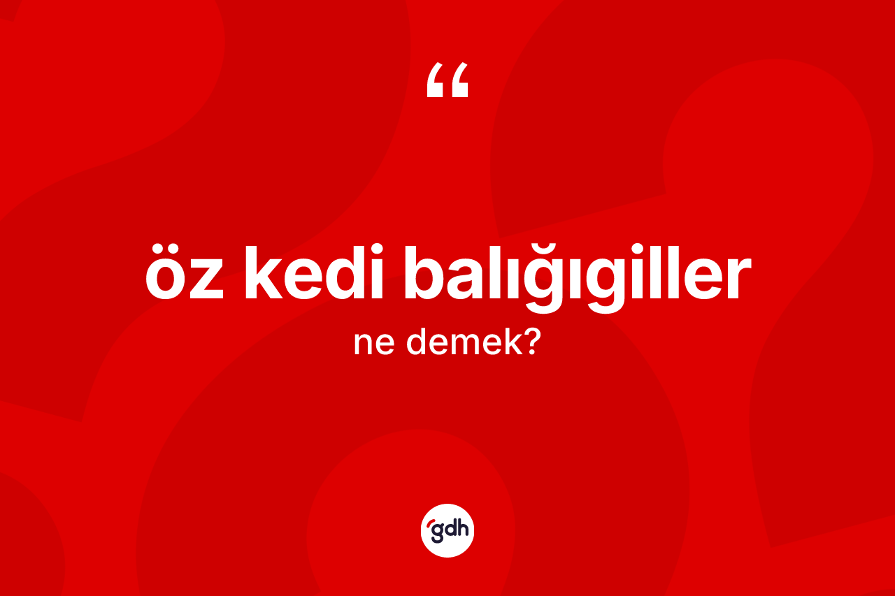 Öz kedi balığıgiller kelimesi nedir?