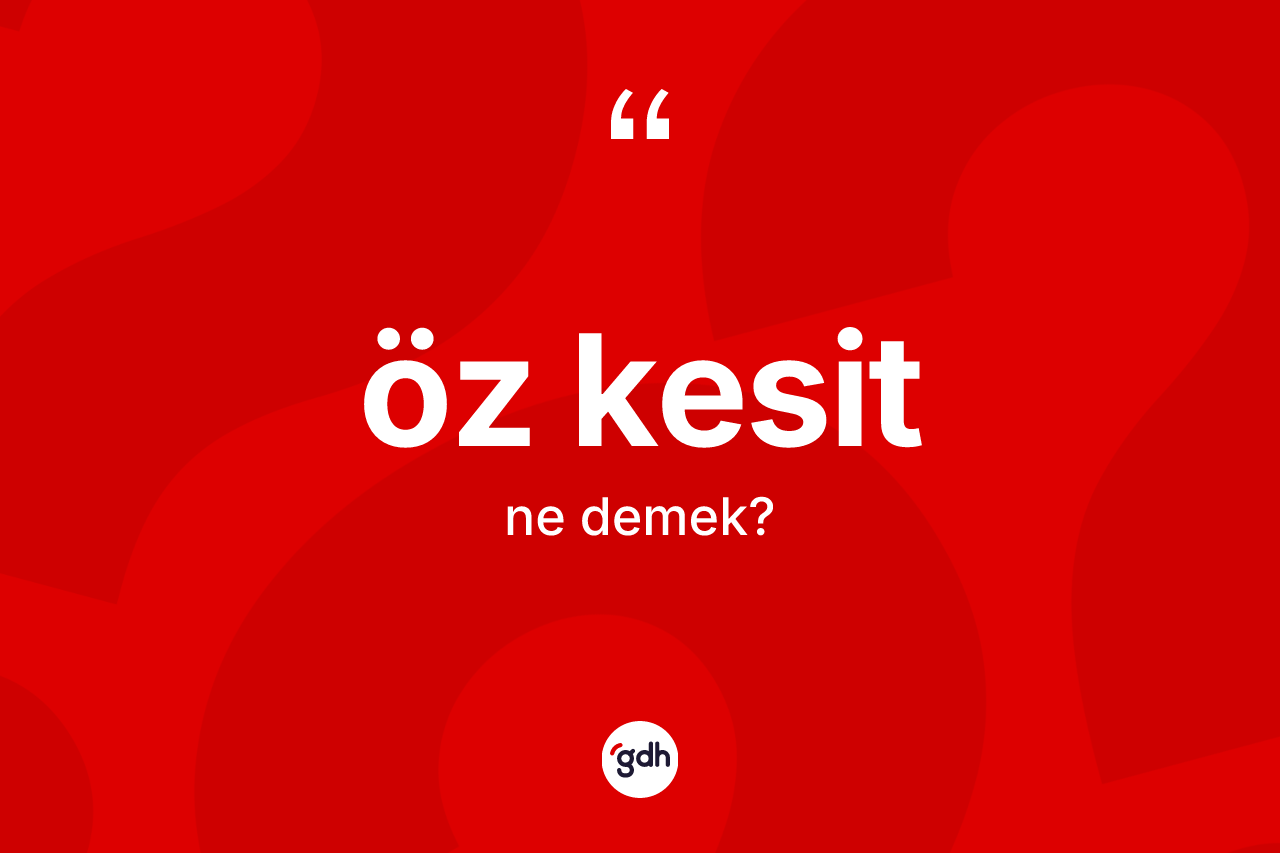 Öz kesit kelimesi nedir? Öz kesit kelimesinin özellikleri nelerdir?