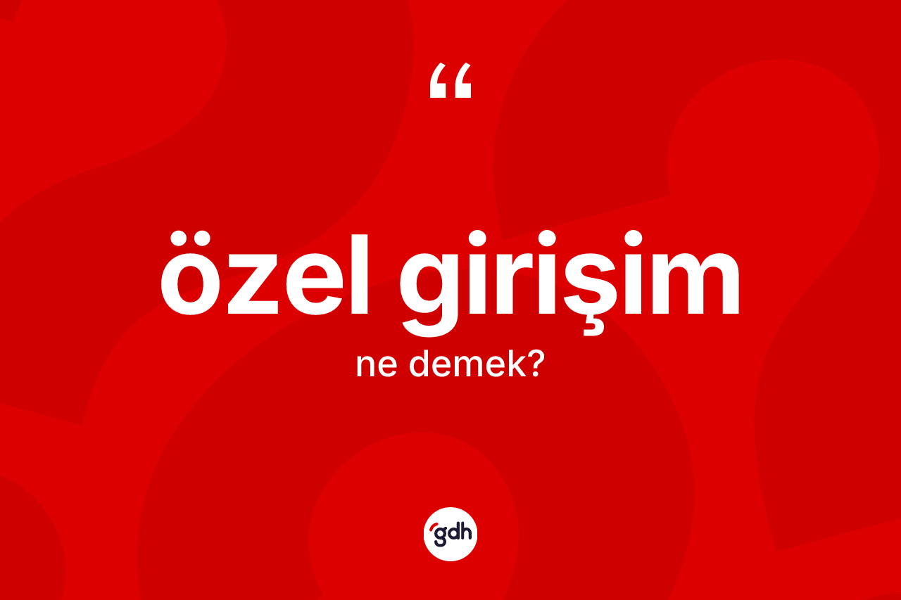 Özel girişim kelimesinin tanımı nedir?