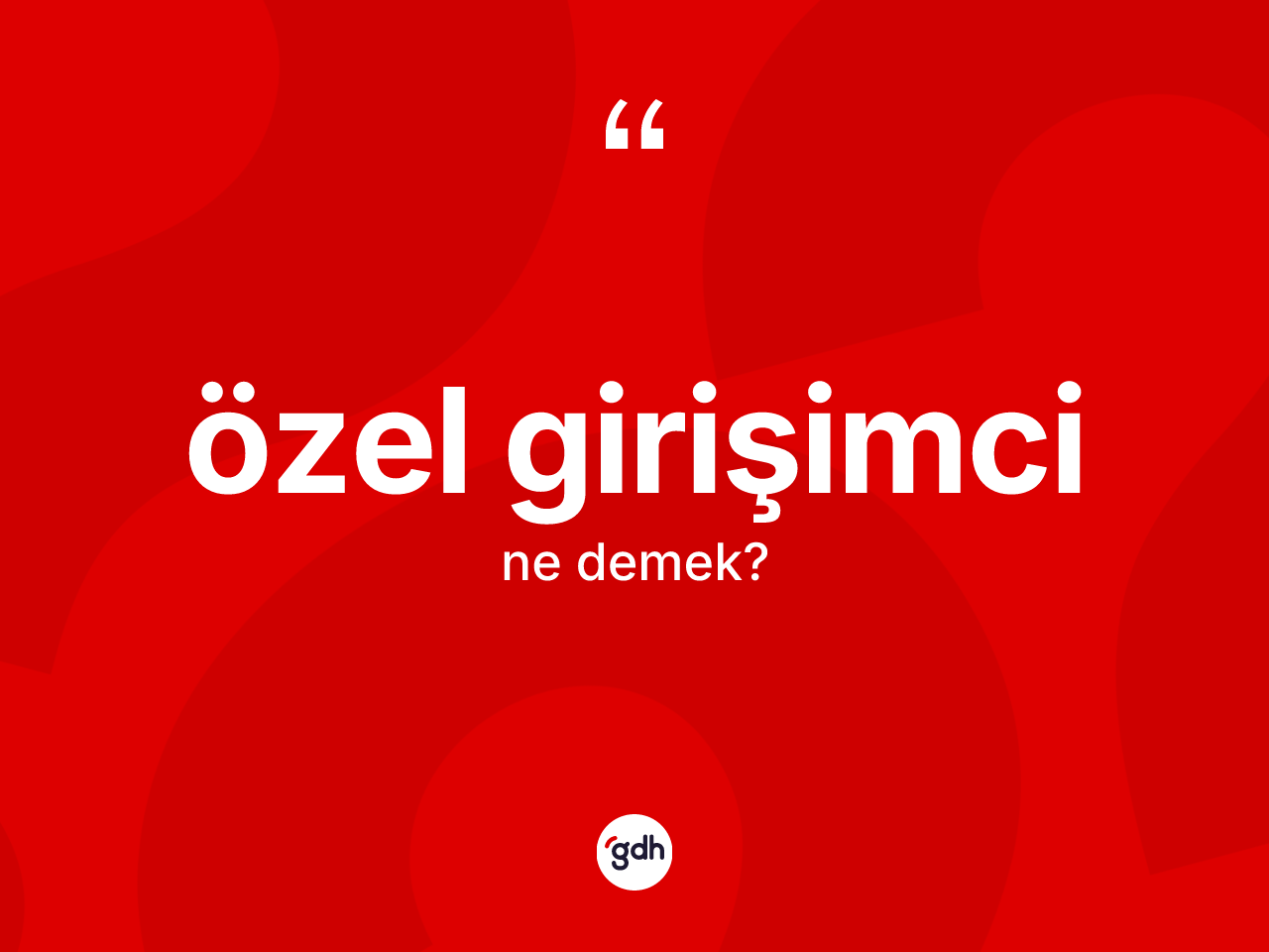 Özel girişimci kelimesinin tanımı nedir? Özel girişimci kelimesinin TDK anlamı nedir?