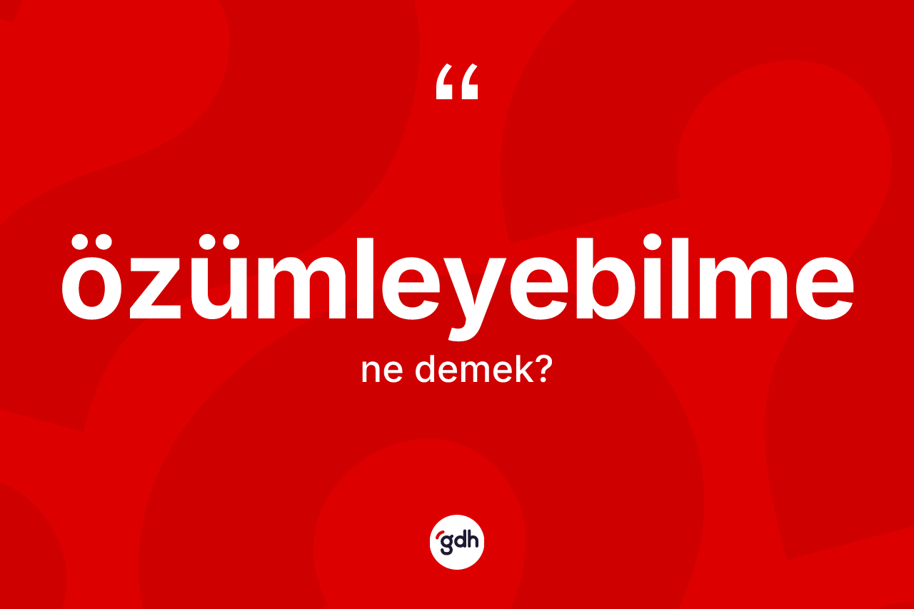 Özümleyebilme kelimesinin anlamı nedir? Özümleyebilme kelimesinin kaç farklı anlamı var?