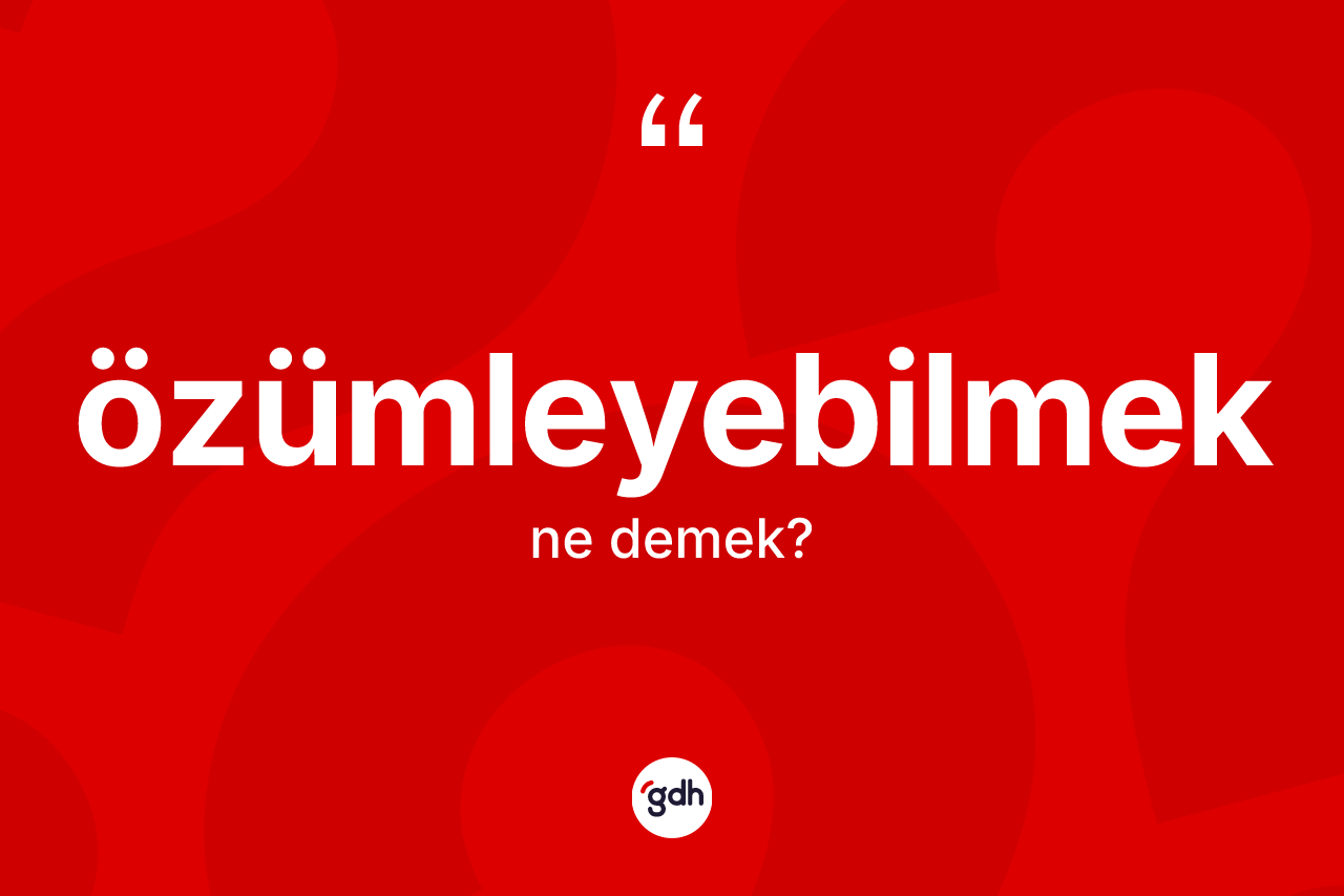 Özümleyebilmek kelimesinin sözlükteki tanımı nedir? Özümleyebilmeğin kısaca tanımı nedir?