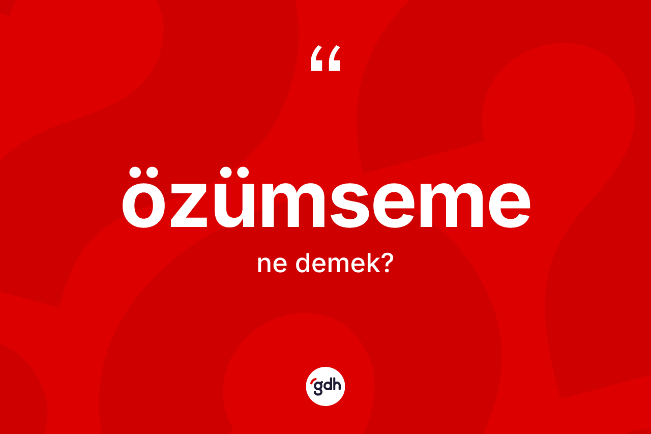Özümseme kelimesinin tanımı nedir? Özümsemenin TDK'ya göre anlamı nedir?