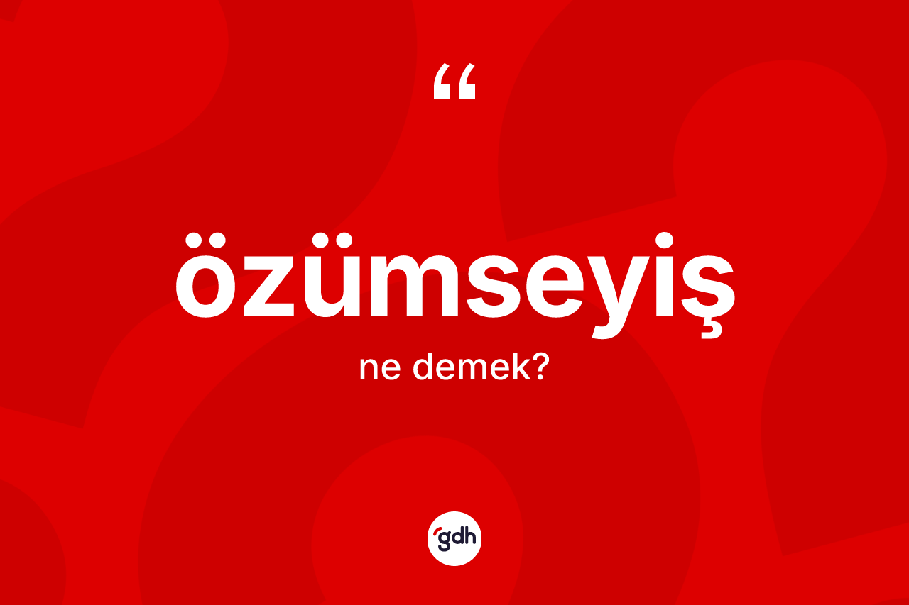 Özümseyiş ne demek? Özümseyişin TDK'ya göre anlamı nedir?