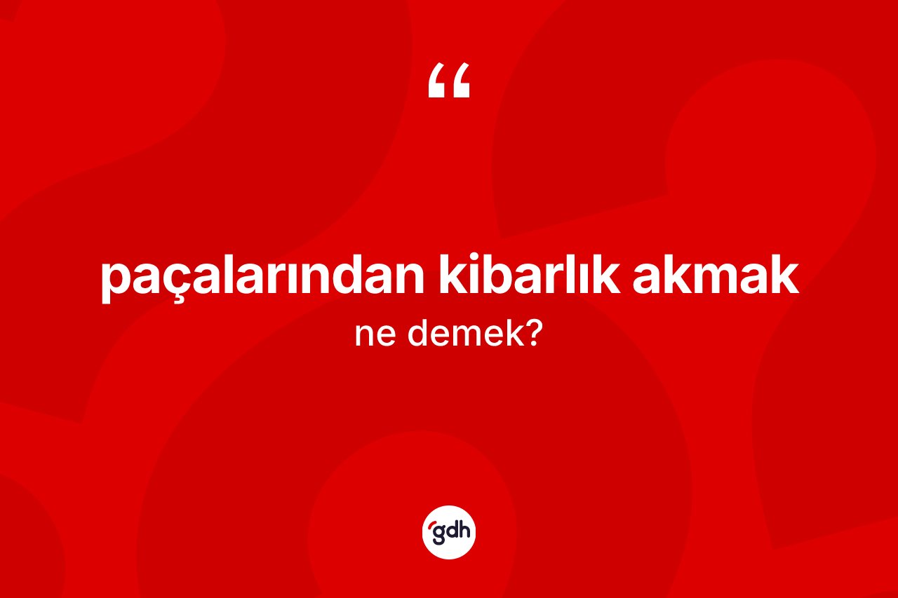 Paçalarından kibarlık akmak ifadesinin kısaca tanımı nedir? Paçalarından kibarlık akmak ifadesinin TDK'ya göre açıklaması nedir?
