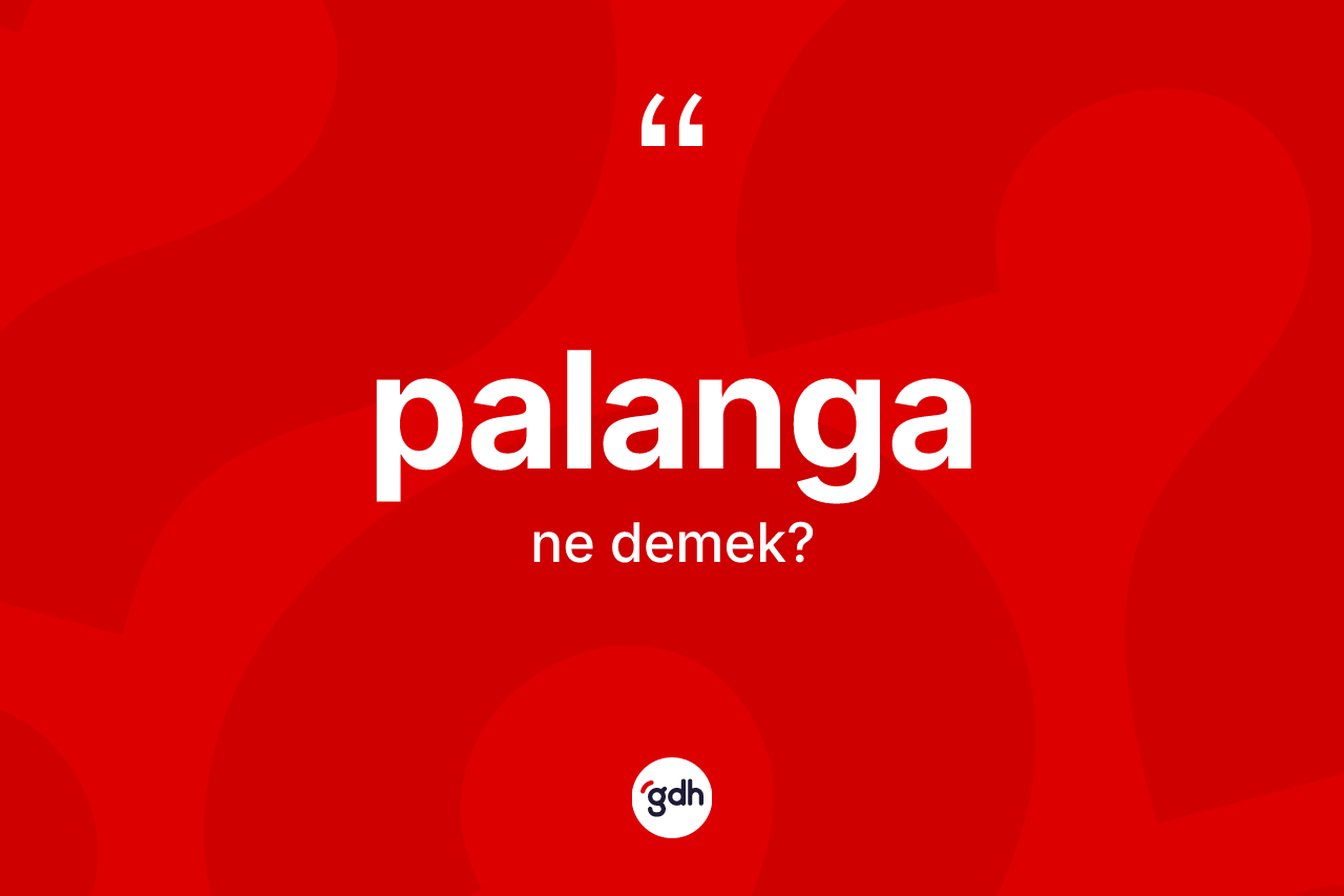 Palanga ne demek? Palanga kelimesinin kaç farklı anlamı var?
