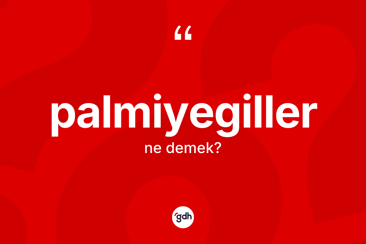 Palmiyegiller ne demek?